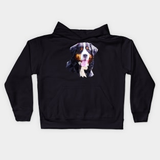 Bernese Mountain Dog (Low Poly) Kids Hoodie